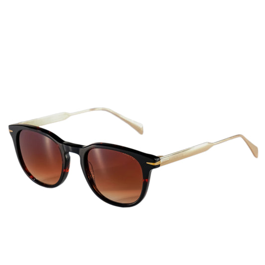 Verutti Sunglass Code AT8888-CO.02